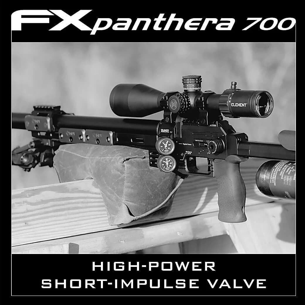 Carabina FX PANTHERA (600) Standar - Imagen 9